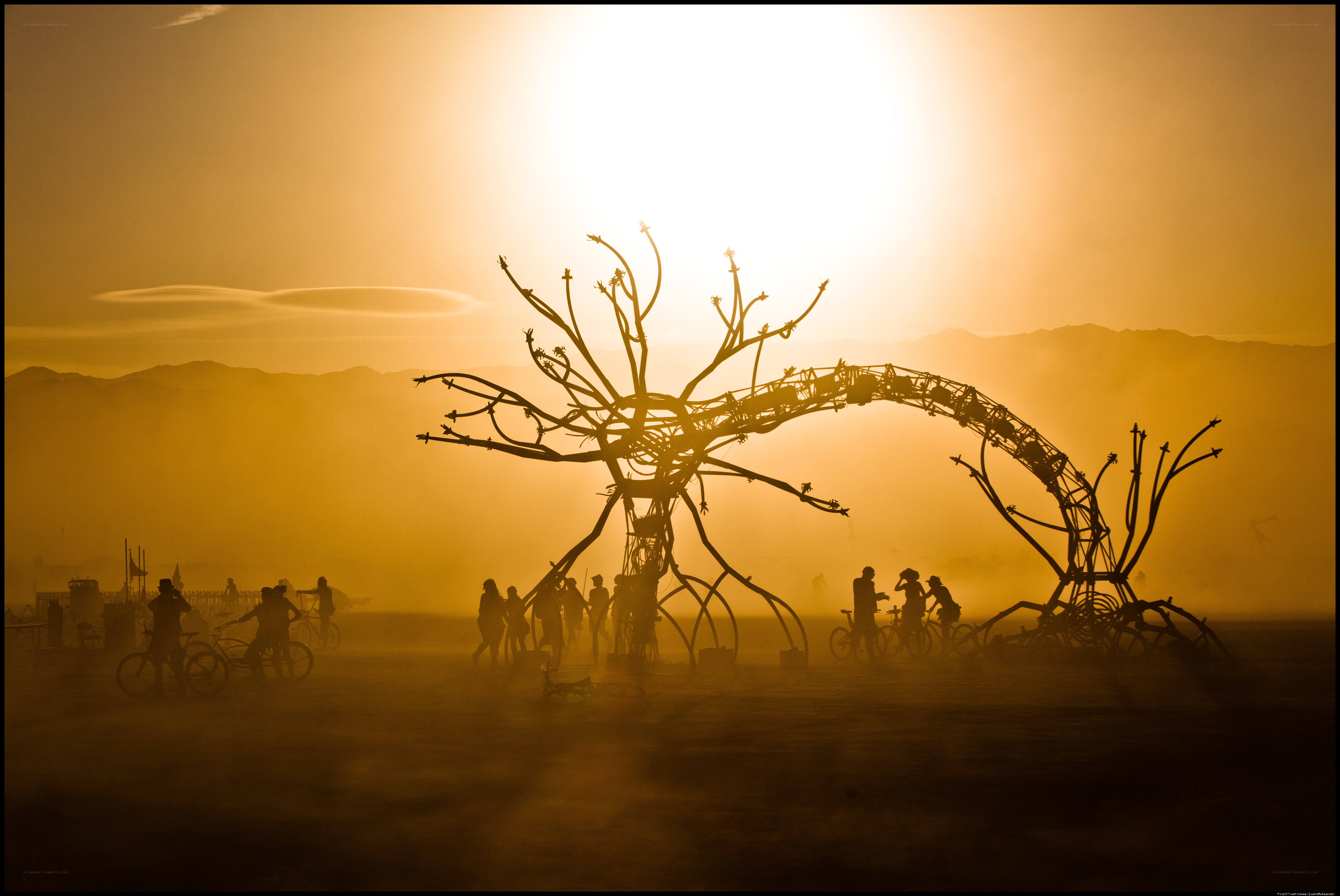 Silhouette at Burning Man
