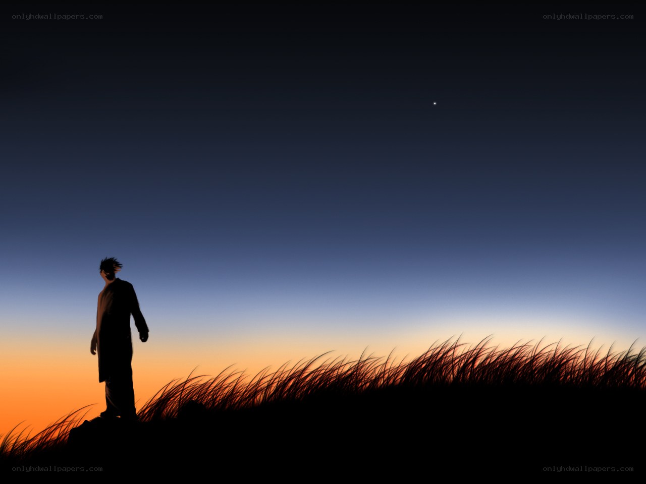 Silhouette at dusk