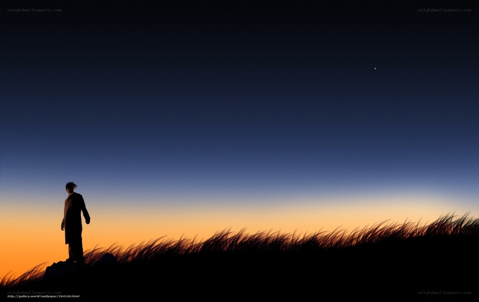 Silhouette at dusk