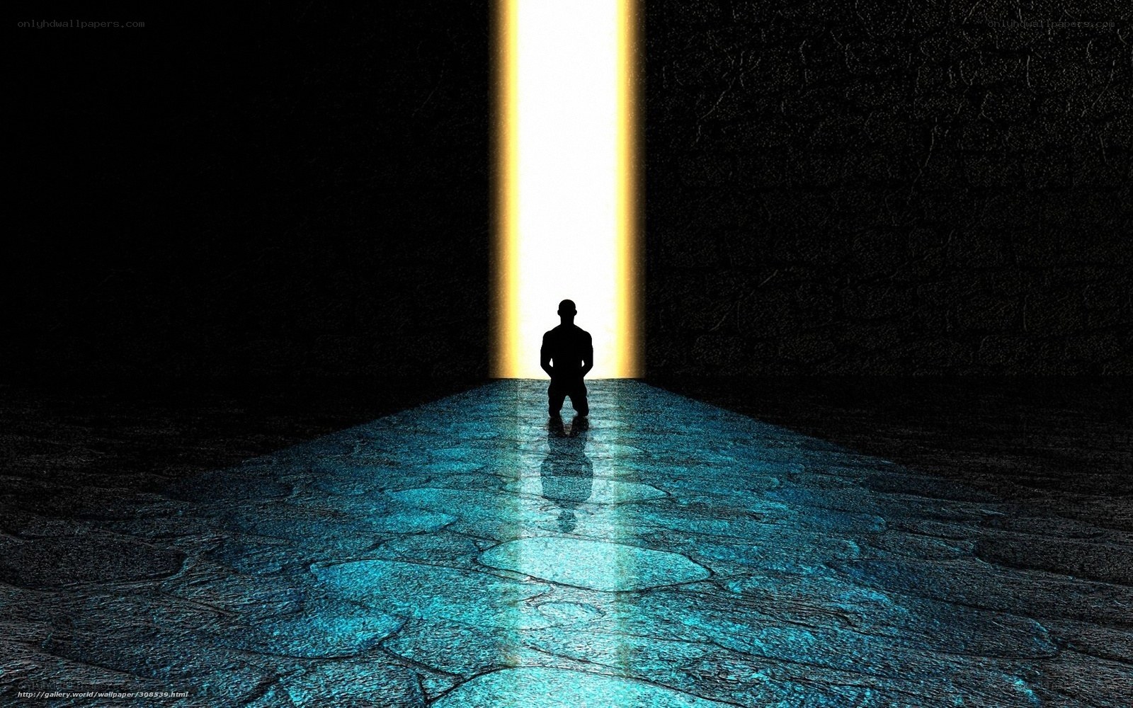 silhouette at light portal