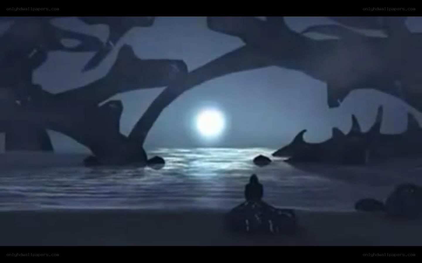 silhouette at moonlit beach