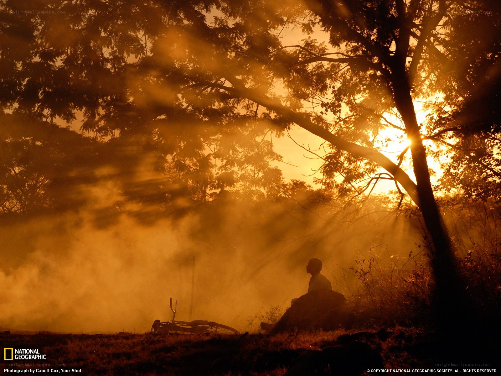 Silhouette at sunrise