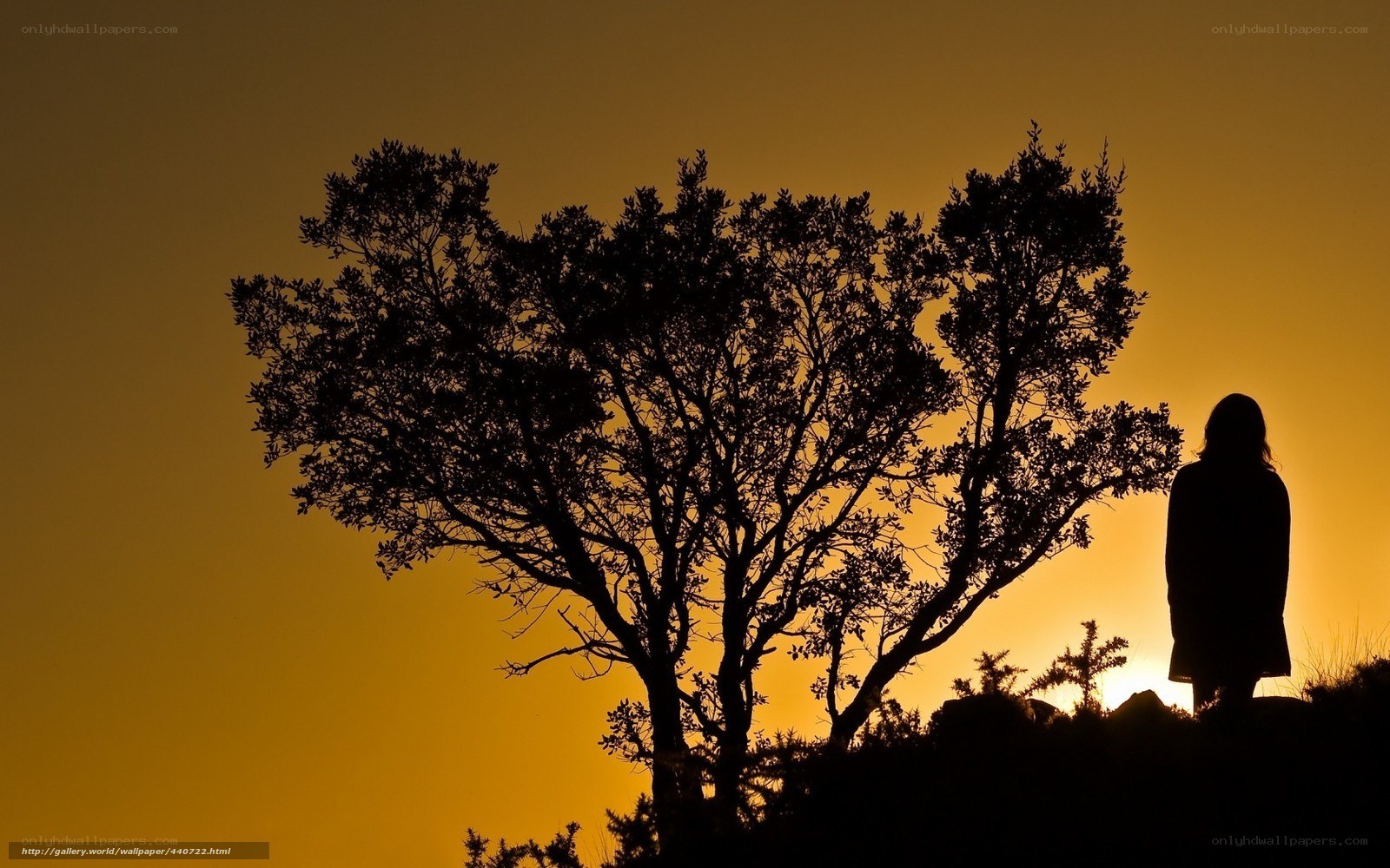 Silhouette at sunset