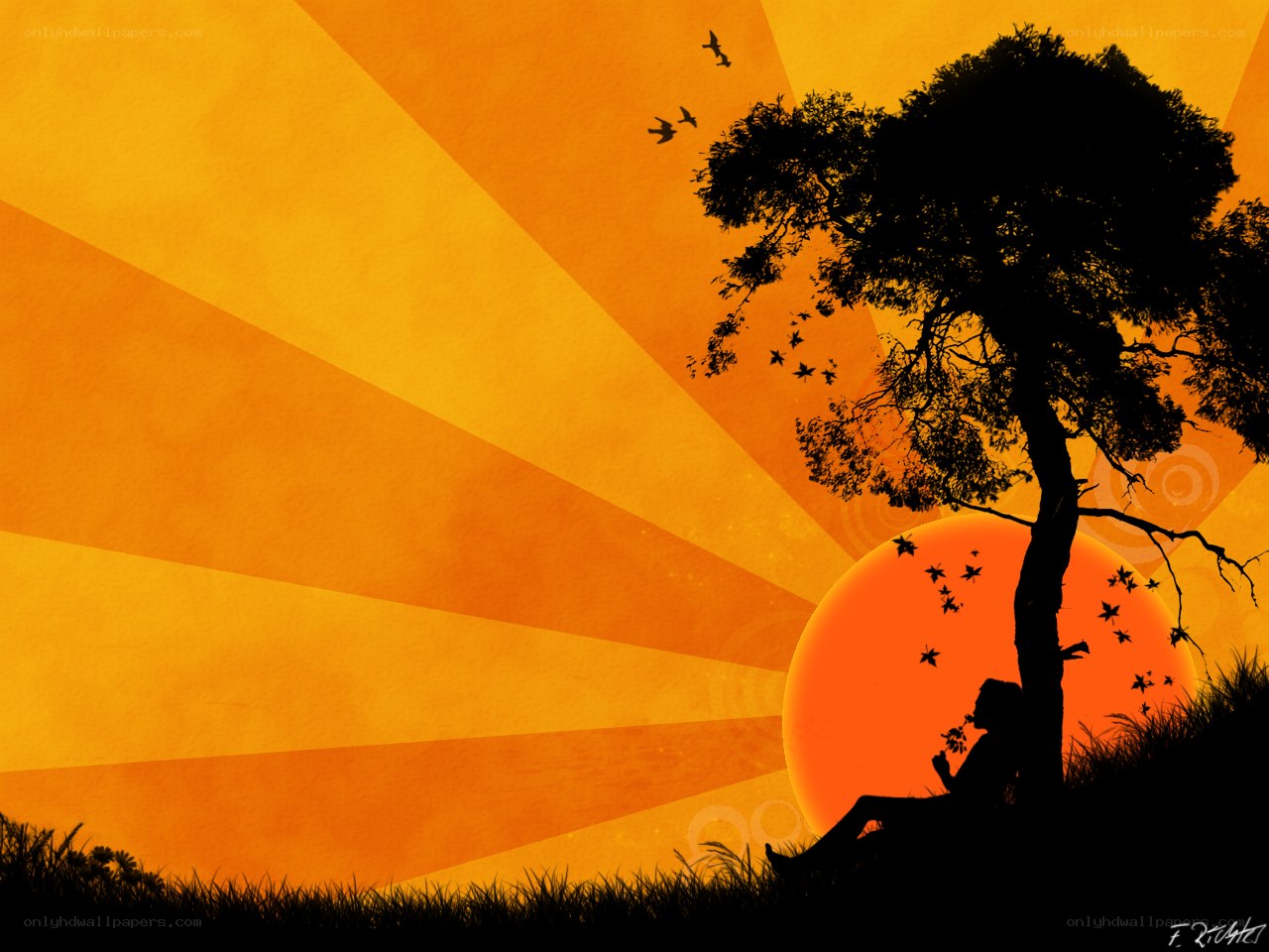 Silhouette at sunset