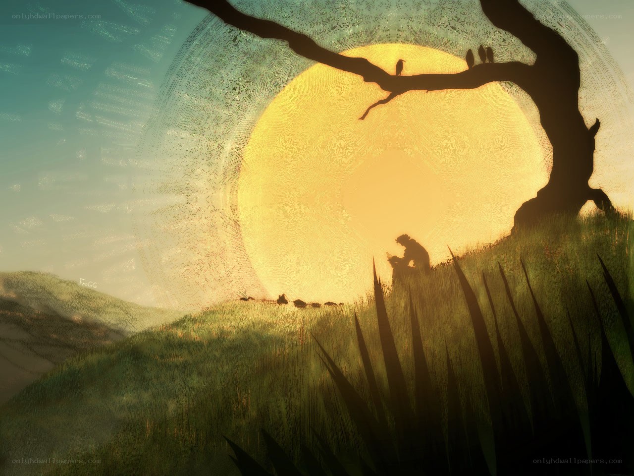 Silhouette at sunset