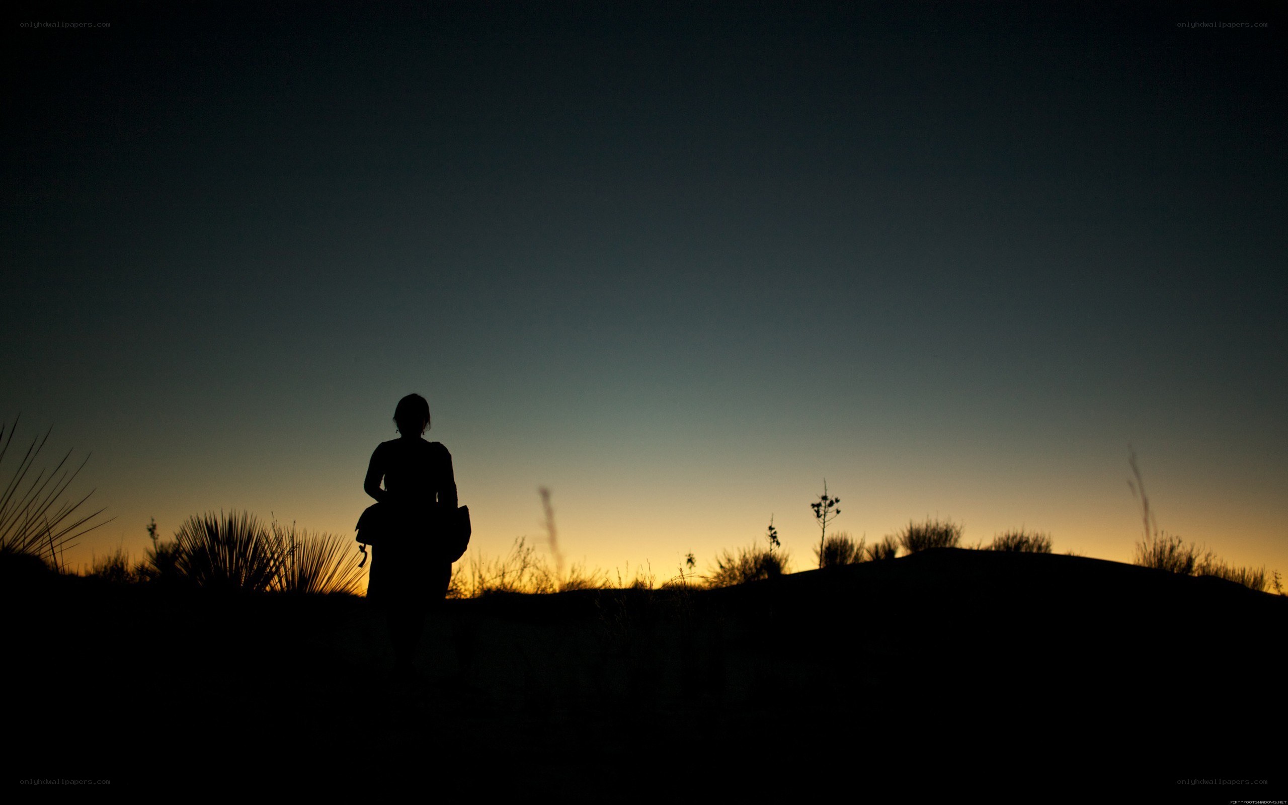 silhouette at sunset
