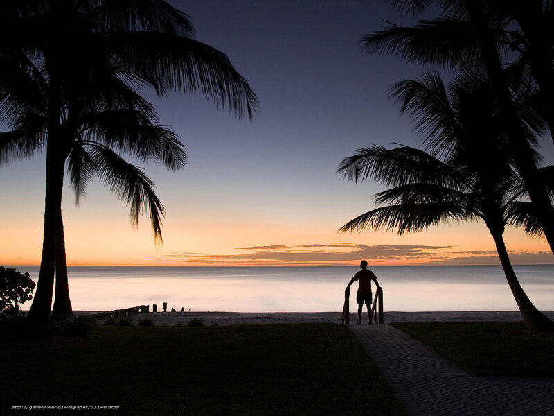 Silhouette at sunset beach