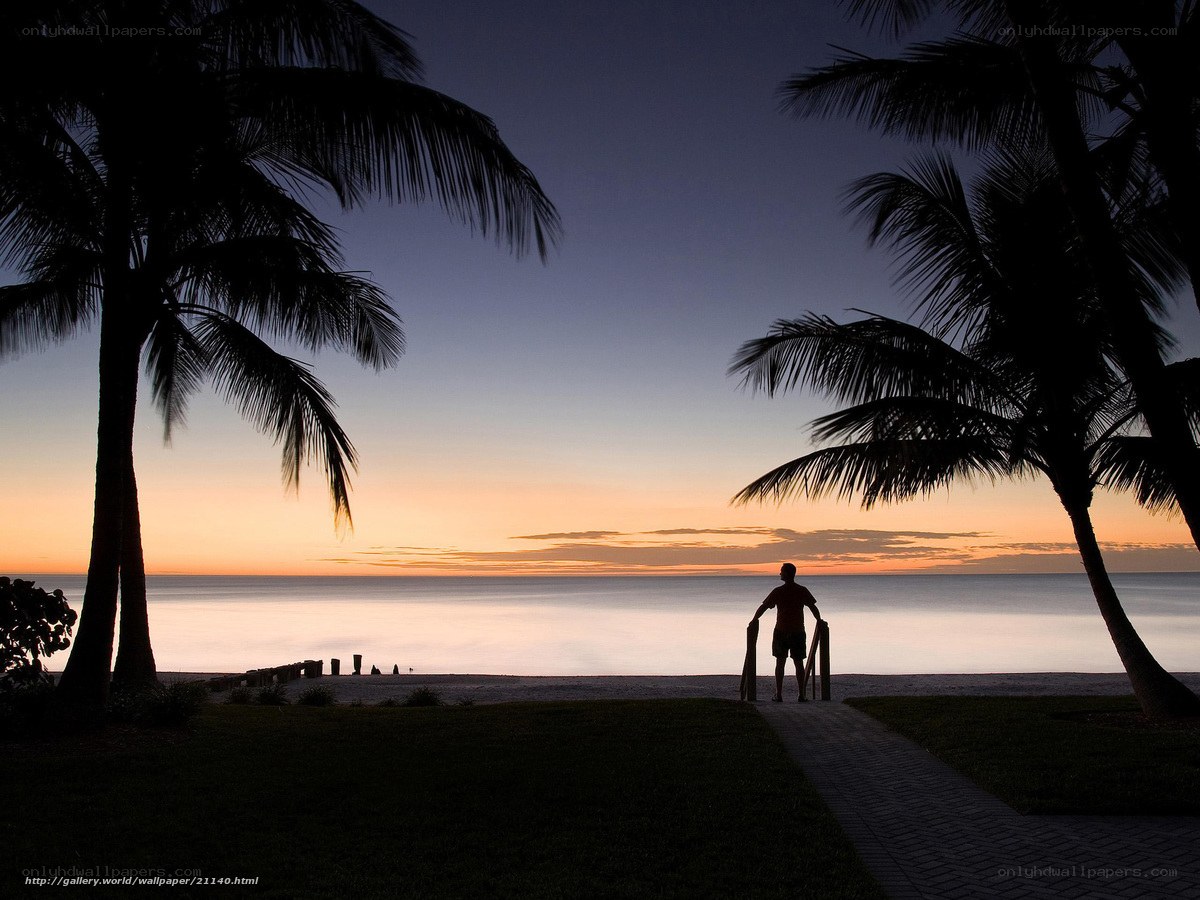 Silhouette at sunset beach