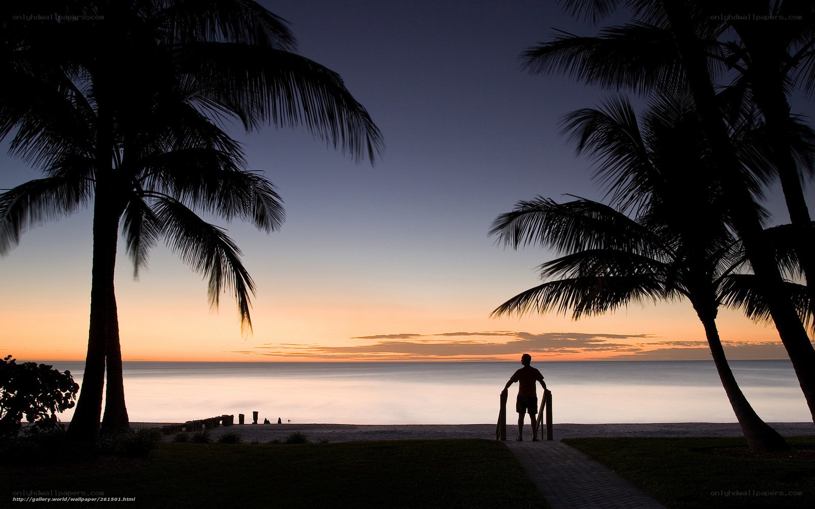Silhouette at sunset beach