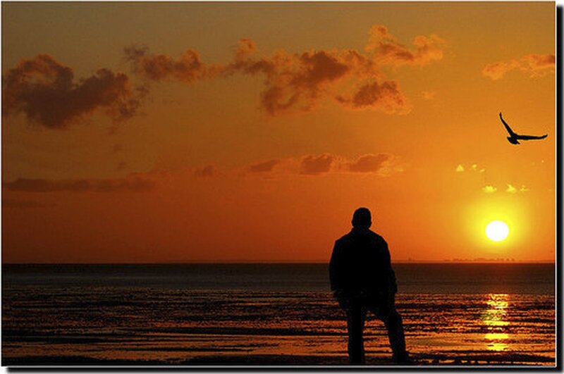 Silhouette at sunset by the sea