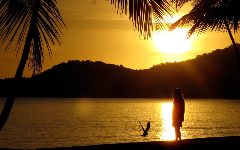 Silhouette at sunset by the water