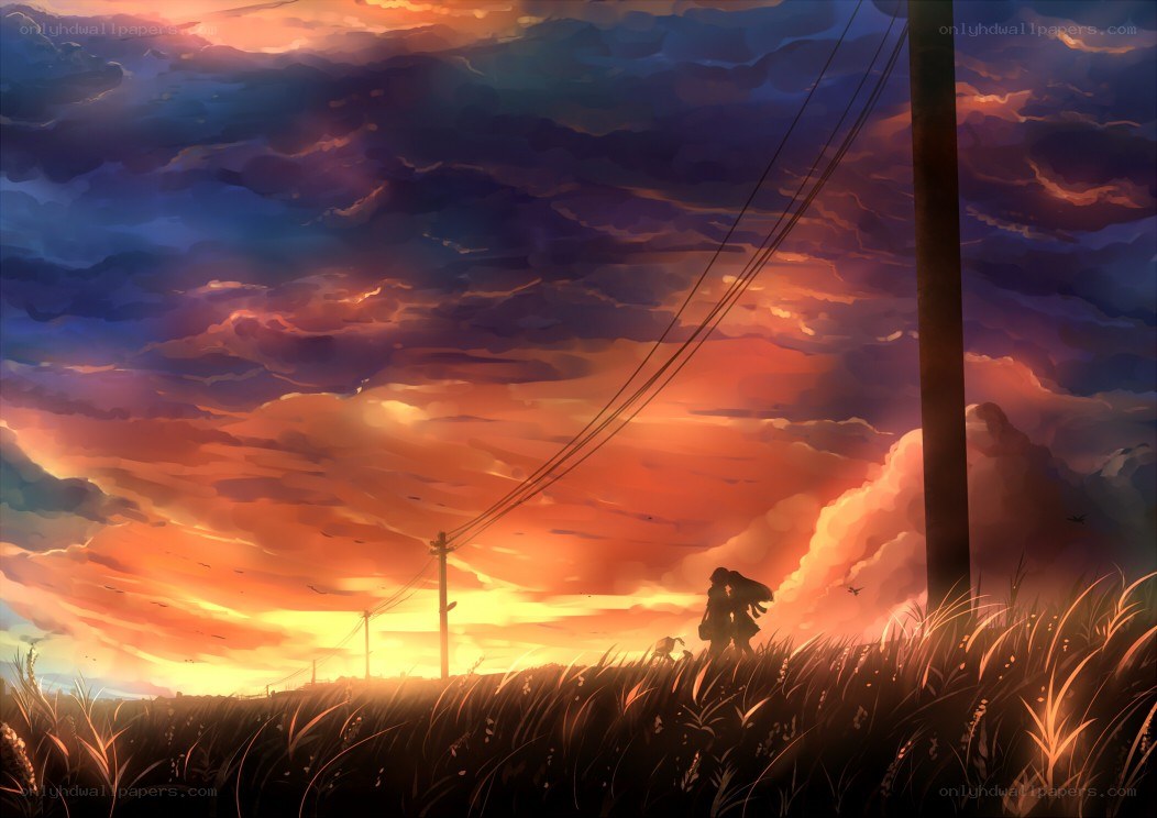 Silhouette at sunset in a field