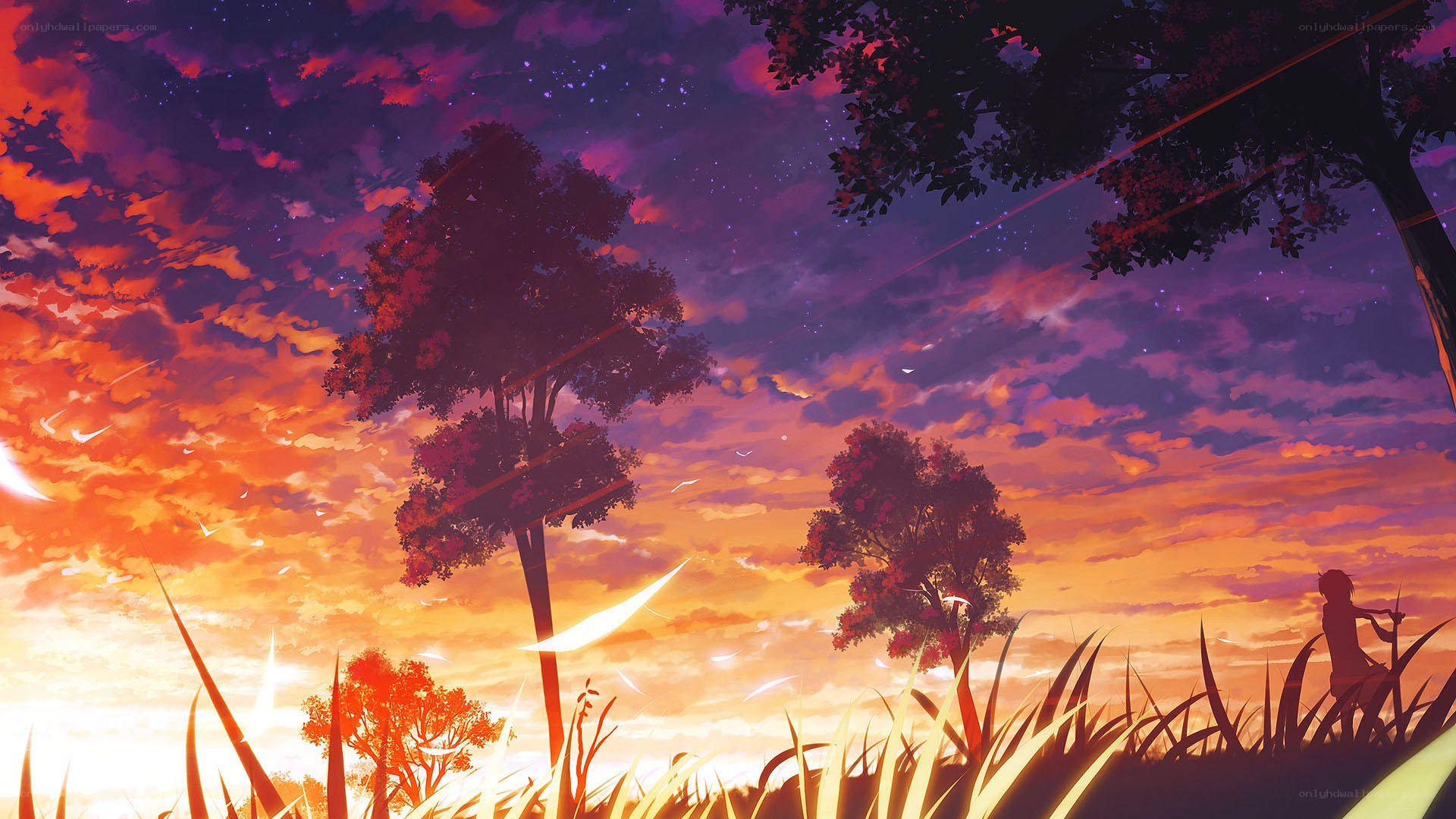 Silhouette at sunset in a field