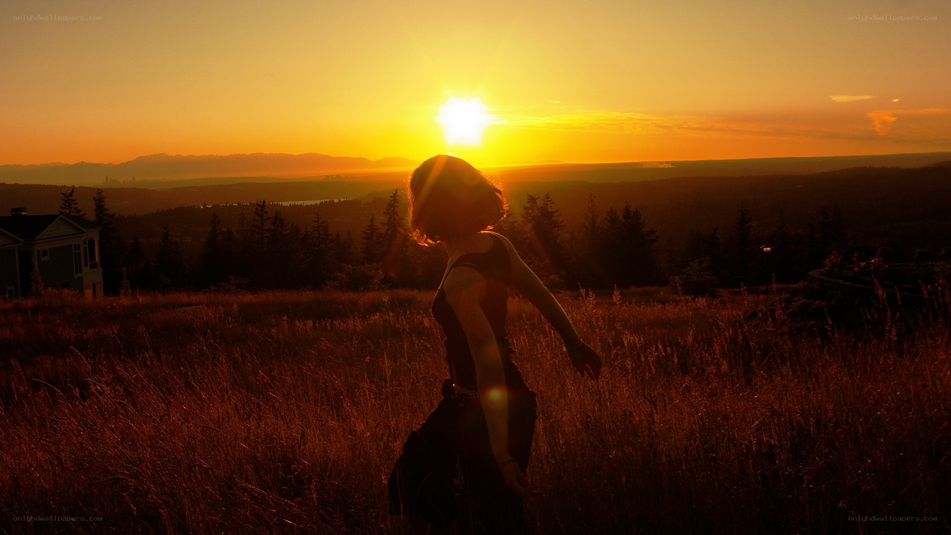 Silhouette at sunset in a field