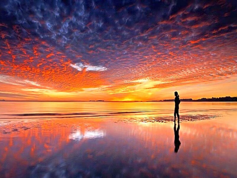 Silhouette at sunset on the beach