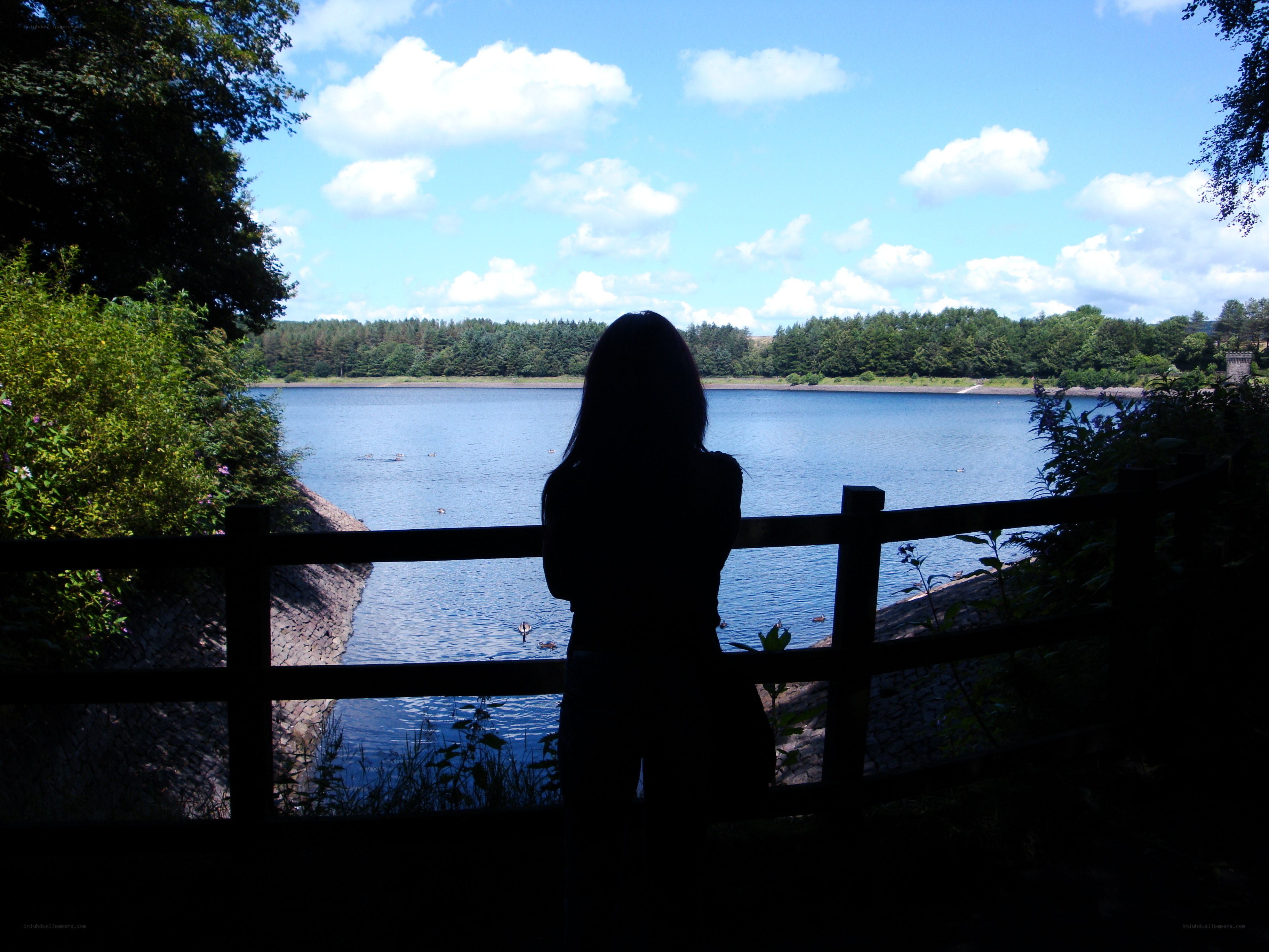 Silhouette at the lake