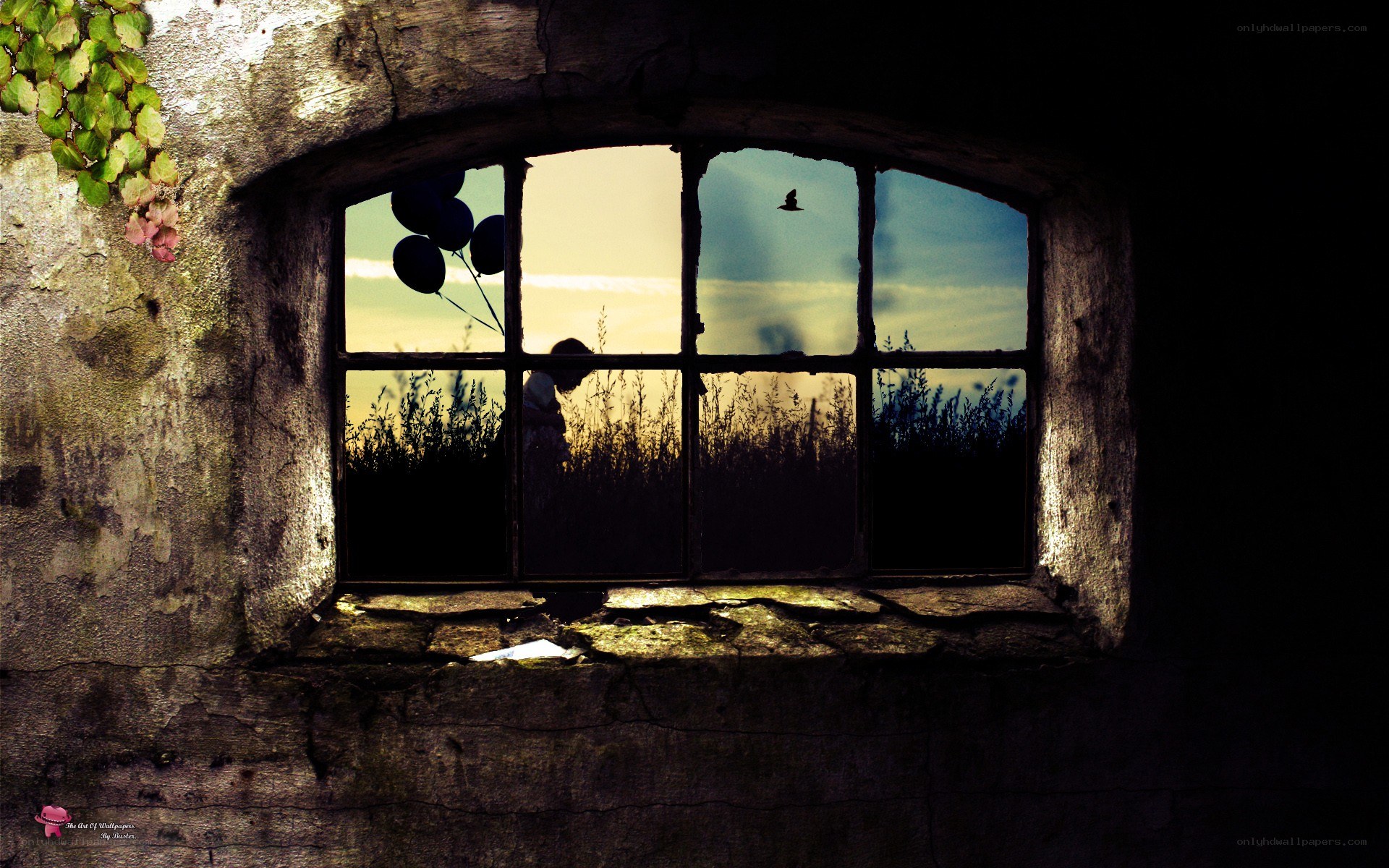 Silhouette at the old window