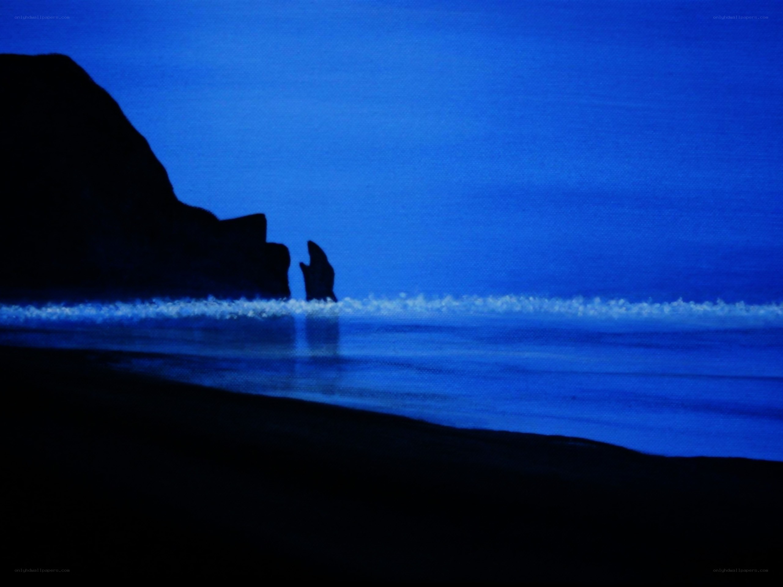 Silhouette at the Seashore