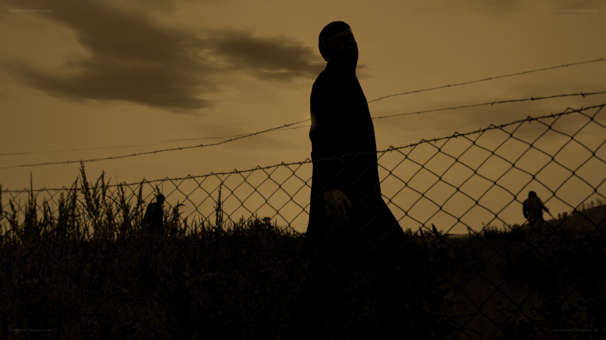 Silhouette behind barbed wire fence