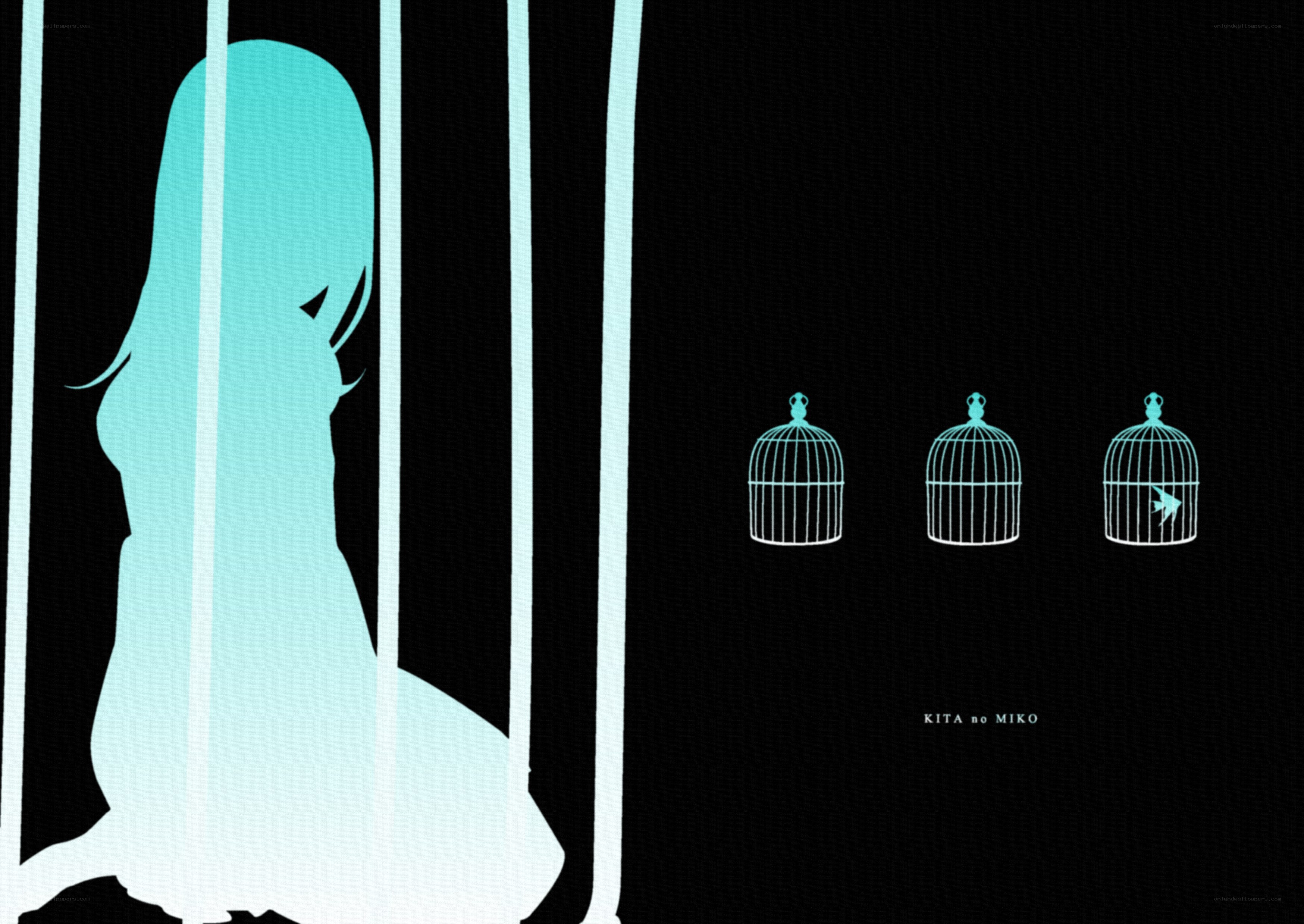 Silhouette behind bars