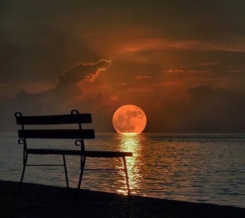 Silhouette Bench at Sunset — Orange, Serene