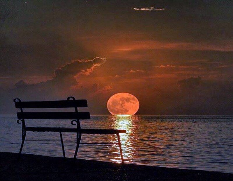 Silhouette Bench on Beach — Orange