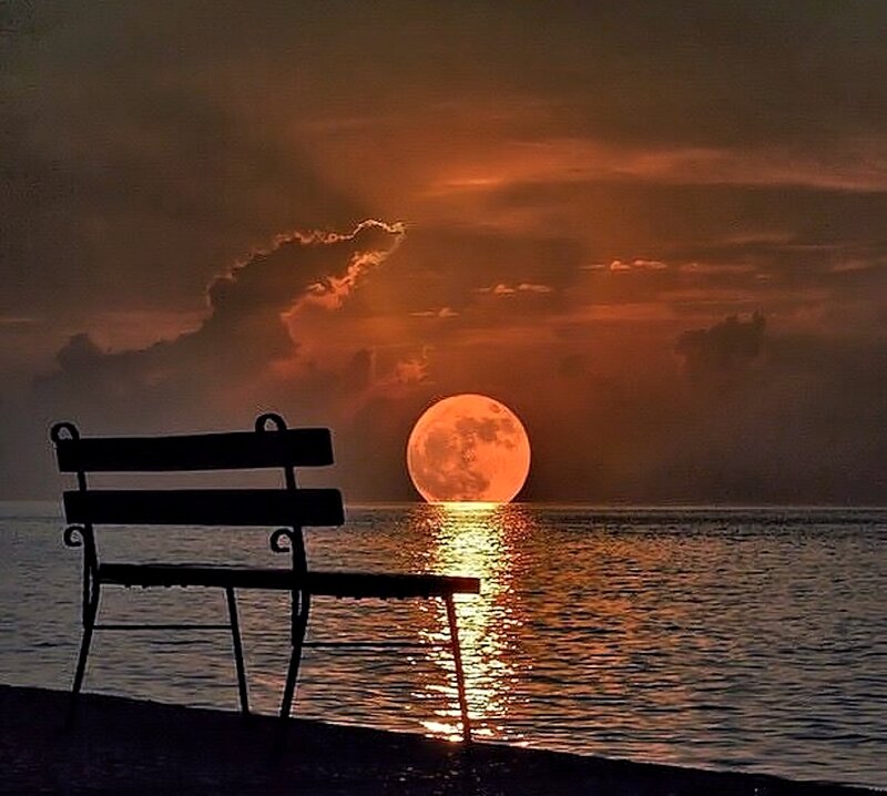 Silhouette Bench on Beach