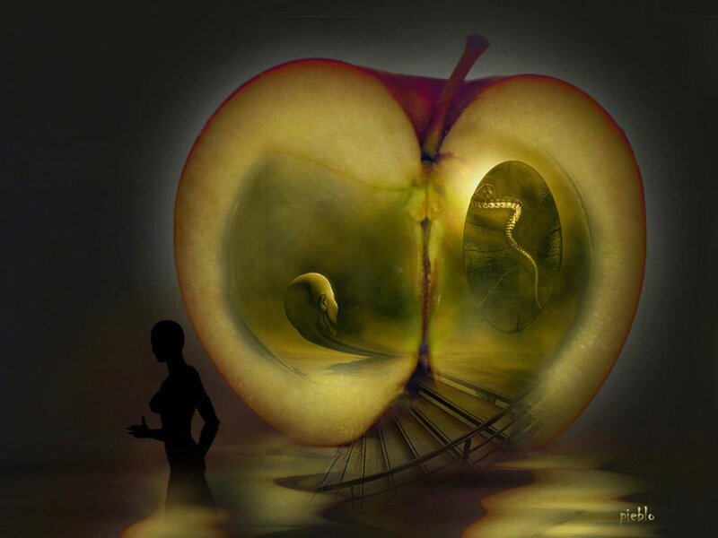 silhouette beside giant apple
