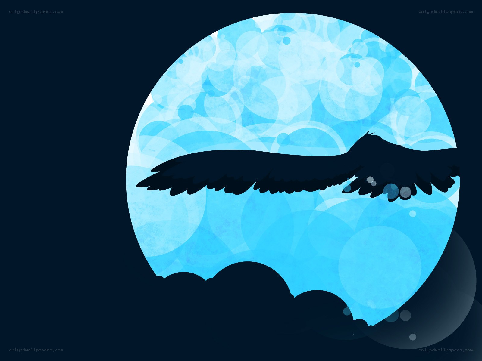 silhouette bird flying moon