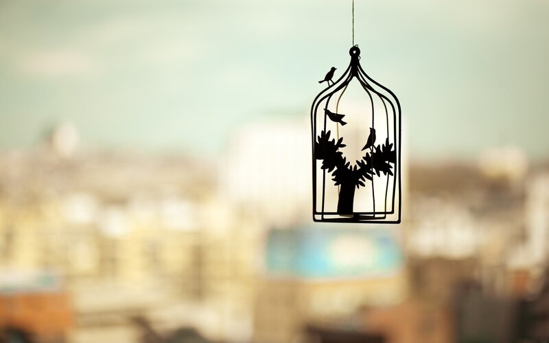 Silhouette Birdcage Ornament