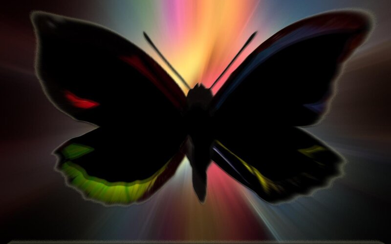 silhouette butterfly with colorful light