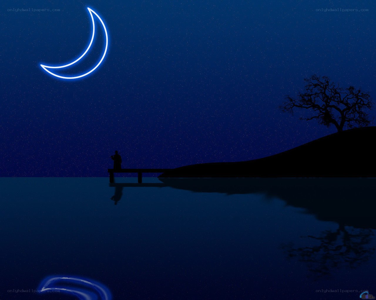 Silhouette by moonlight