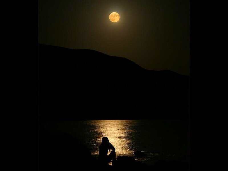 Silhouette by moonlight