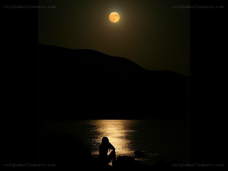 Silhouette by moonlight