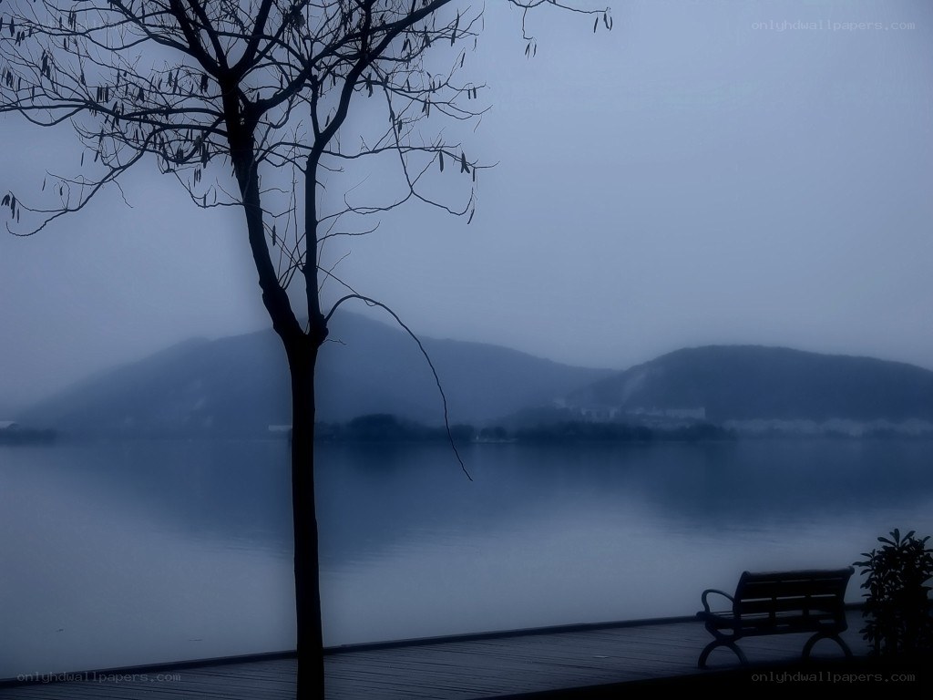 Silhouette by the lake
