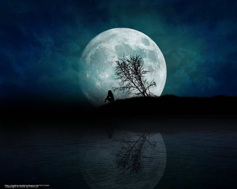 Silhouette by the moonlit lake