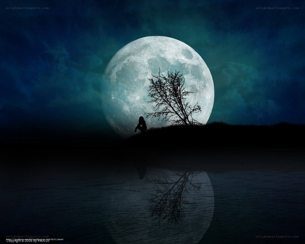 Silhouette by the moonlit lake