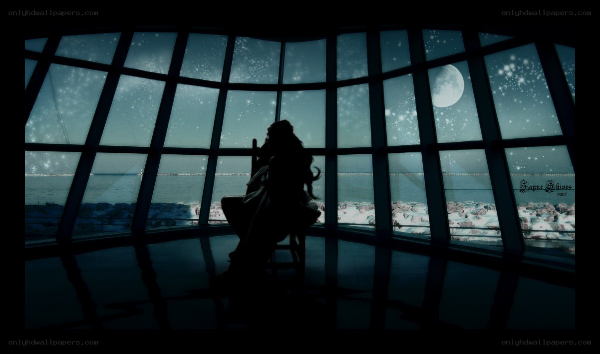 Silhouette by the moonlit window