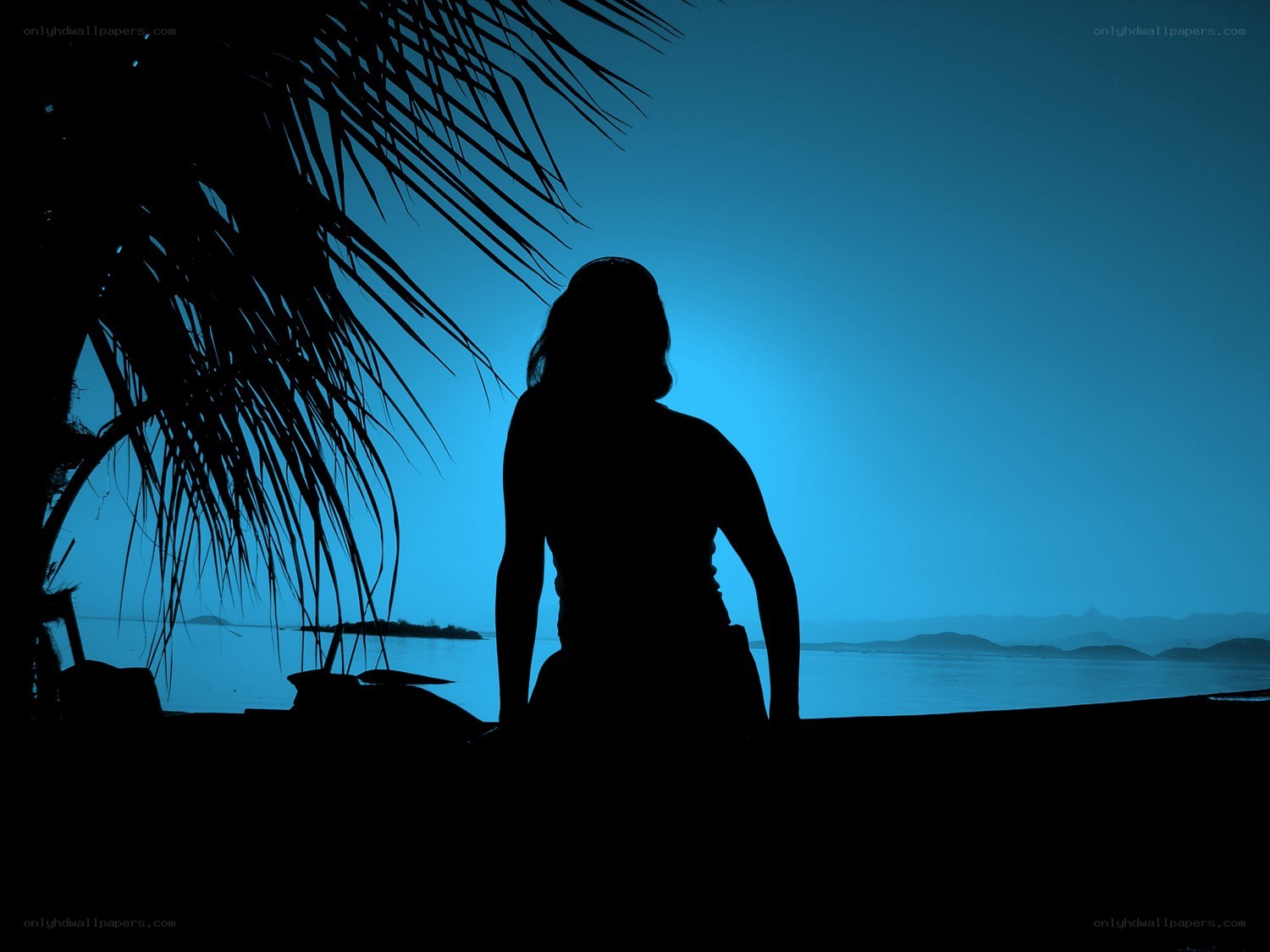 silhouette by the sea