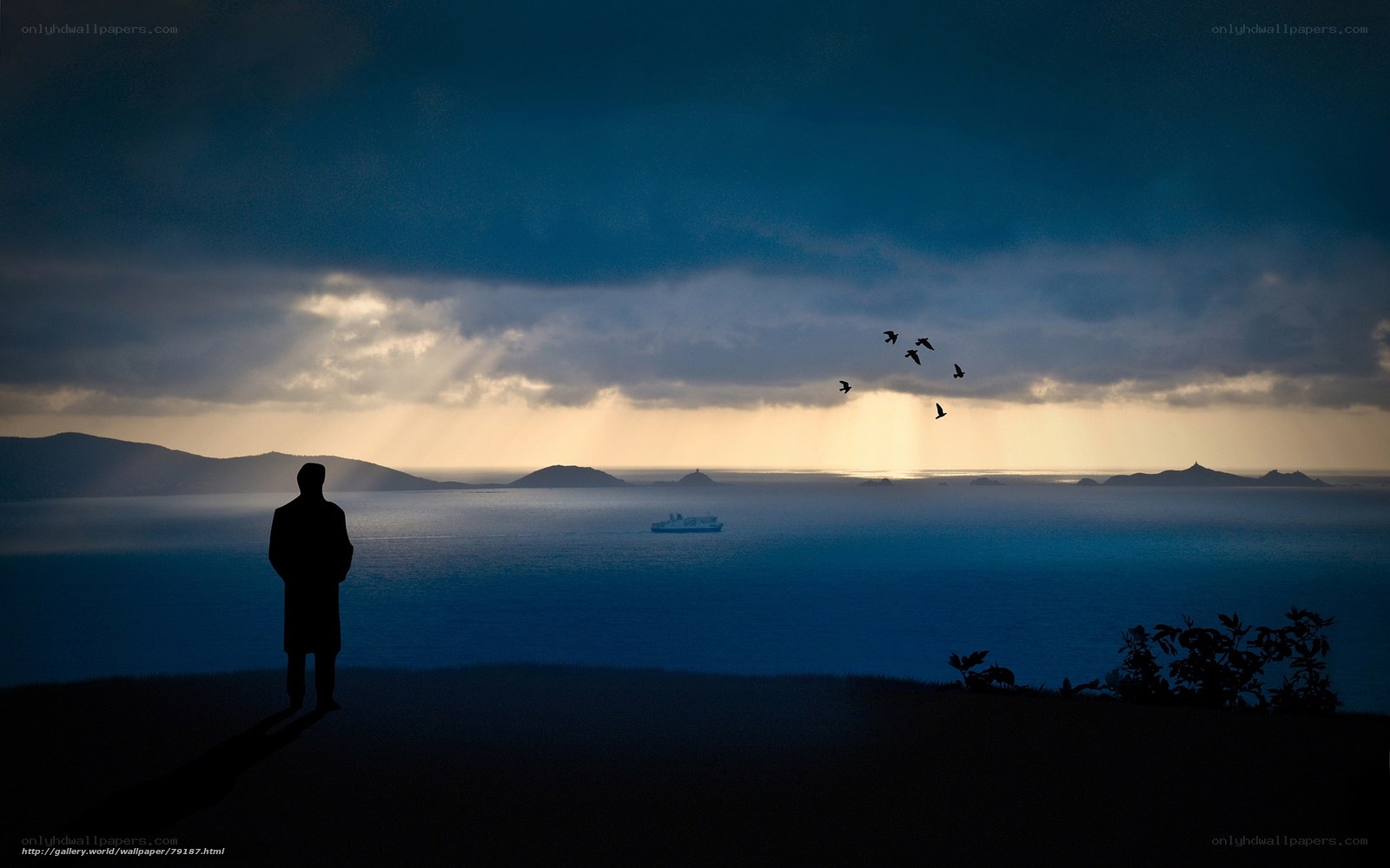 Silhouette by the sea