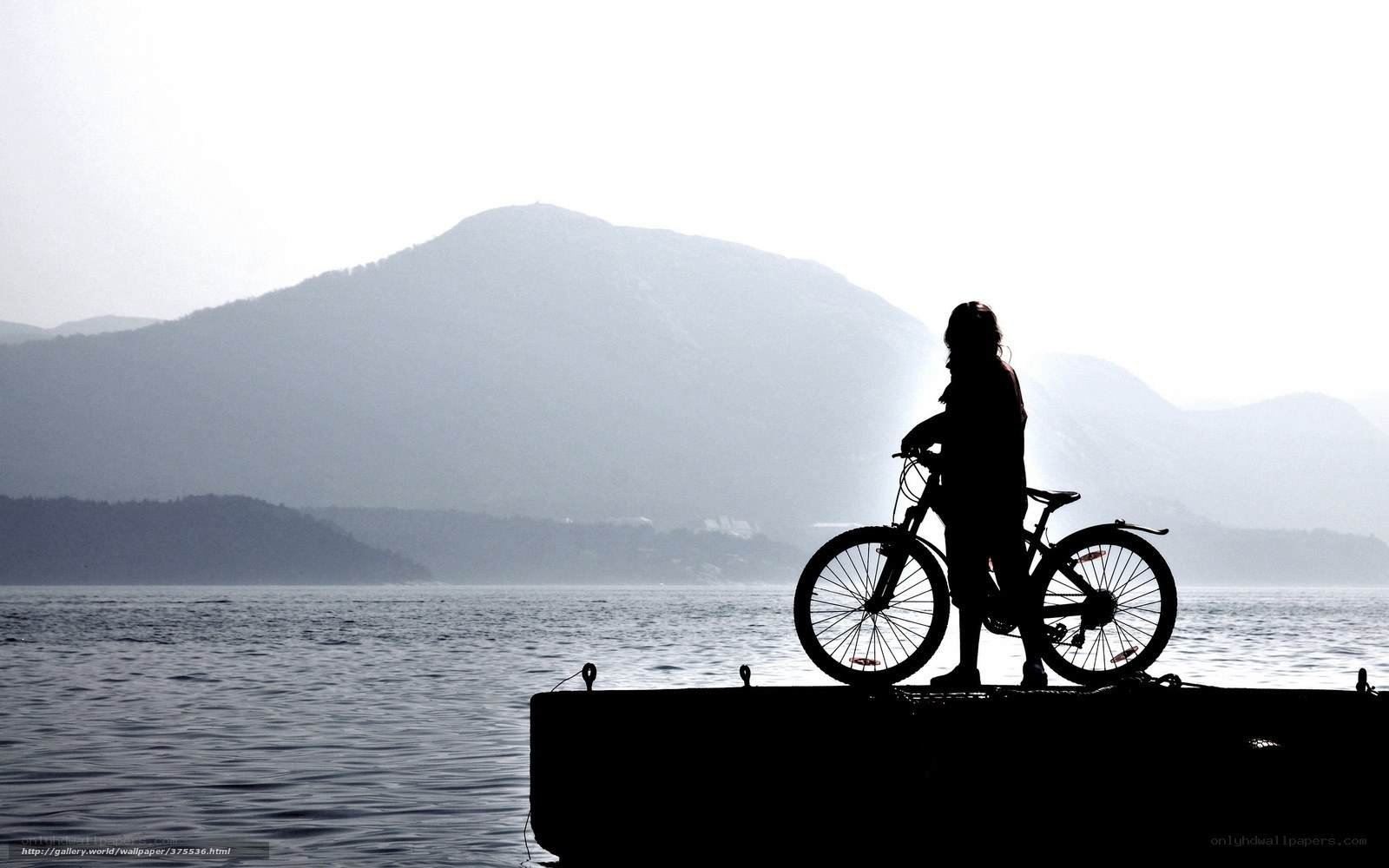 Silhouette by the water