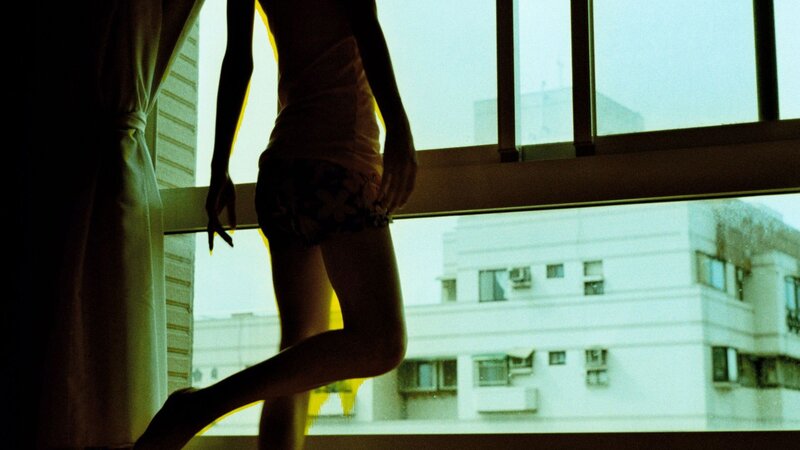 silhouette by the window