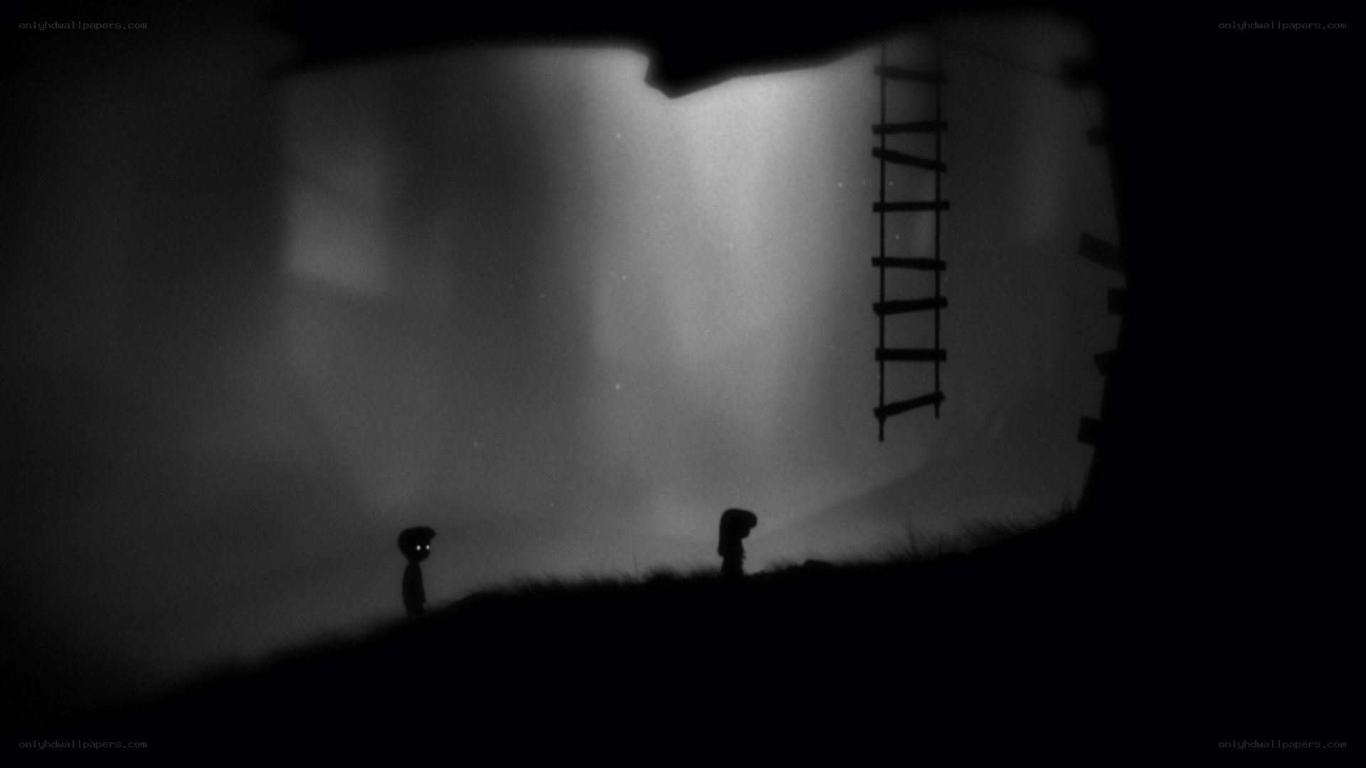 Silhouette characters in dark landscape