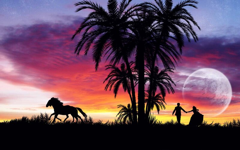 Silhouette Couple and Horse
