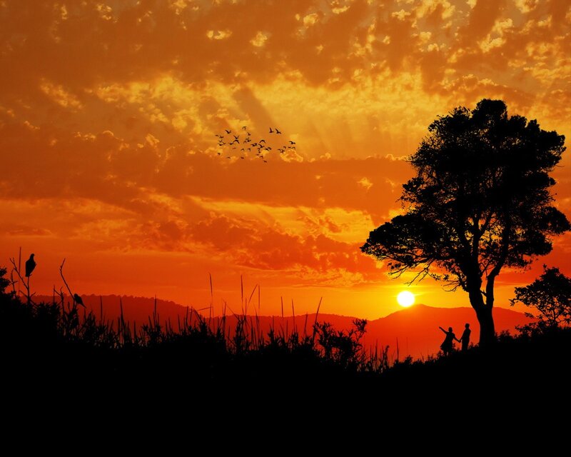 Silhouette Couple at Sunset — Orange, Serene