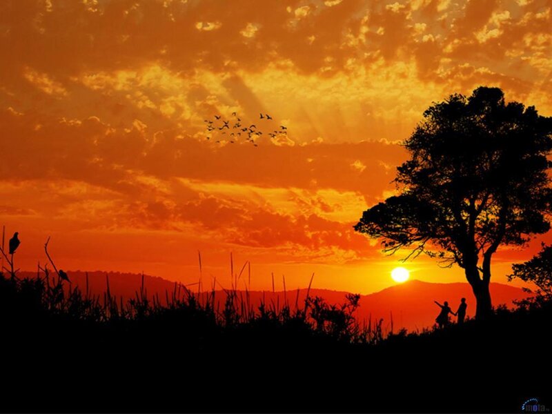 Silhouette Couple at Sunset — Orange
