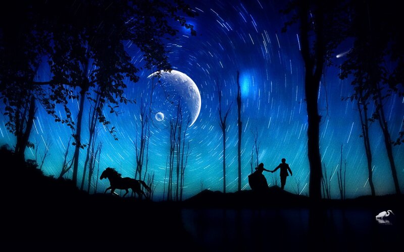 Silhouette Couple in Forest — Blue