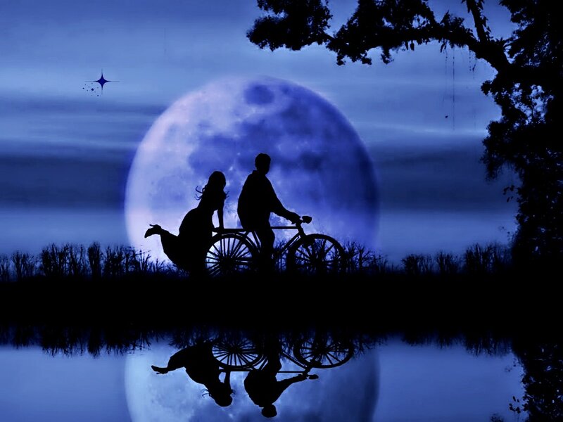 Silhouette Couple on Bicycle