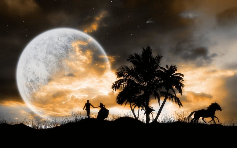 Silhouette Couple on Hill — Black