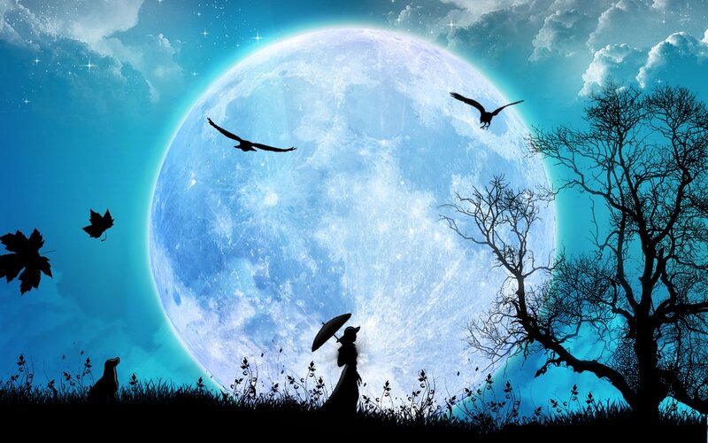 Silhouette Couple under Moon — Blue, Serene